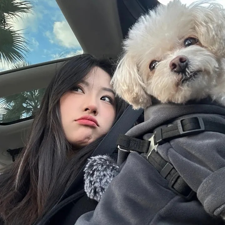抖音肖像权被侵犯？教你两招高效举报法，如何举报抖音视频肖像权问题的人